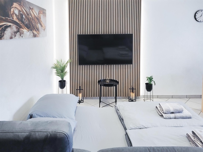 BS18A1_ALFA_APARTMENTS_17_Zimmer_Room_Wohnzimmer_Living_Room_Schlafsofa_01