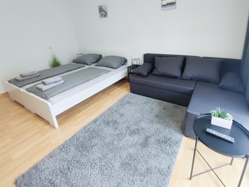ALFA_LS17A1_16_Zimmer1_Schlafsofa